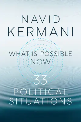 Was jetzt möglich ist: 33 politische Situationsberichte - What Is Possible Now: 33 Political Situations