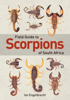 Feldführer zu den Skorpionen Südafrikas - Field Guide to Scorpions of South Africa