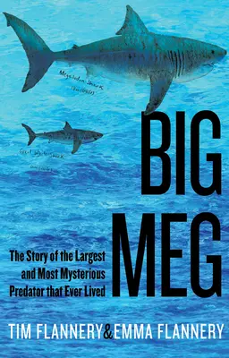 Big Meg: Die Geschichte des größten und geheimnisvollsten Raubtiers, das je gelebt hat - Big Meg: The Story of the Largest and Most Mysterious Predator That Ever Lived