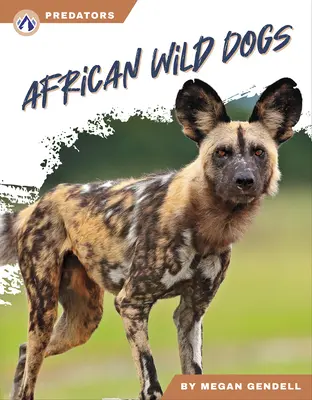 Afrikanische Wildhunde - African Wild Dogs