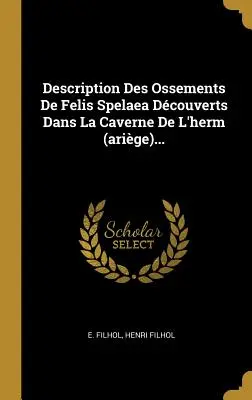 Description Des Ossements De Felis Spelaea Dcouverts Dans La Caverne De L'herm (arige)...