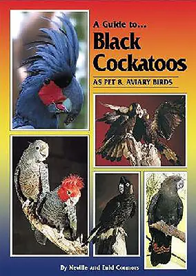Ein Leitfaden für schwarze Kakadus als Heimtiere und Volierenvögel - A Guide to Black Cockatoos as Pet & Aviary Birds