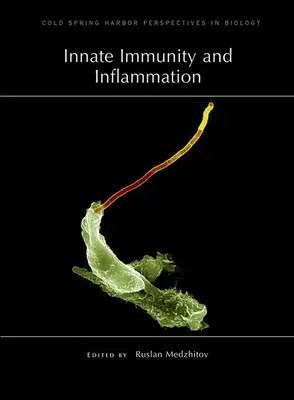 Angeborene Immunität und Entzündung - Innate Immunity and Inflammation