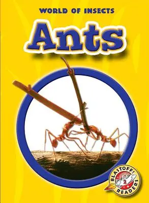 Ameisen - Ants