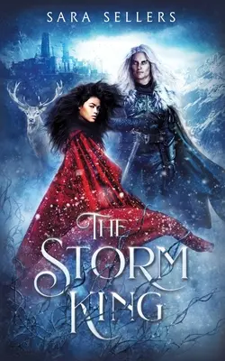 Der Sturmkönig: Eine Fantasy-Romanze zwischen Feinden und Liebenden - The Storm King: An Enemies to Lovers Fantasy Romance