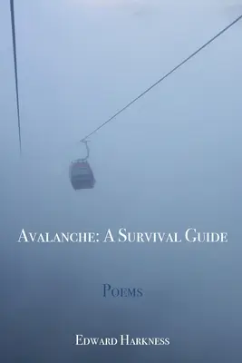 Lawine: Ein Überlebensführer - Avalanche: A Survival Guide