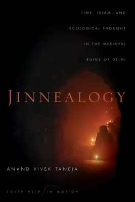 Dschinnealogie: Zeit, Islam und ökologisches Denken in den mittelalterlichen Ruinen von Delhi - Jinnealogy: Time, Islam, and Ecological Thought in the Medieval Ruins of Delhi