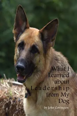 Was ich von meinem Hund über Führungsqualitäten gelernt habe - What I Learned About Leadership From My Dog