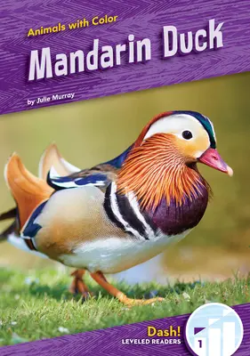 Mandarin-Ente - Mandarin Duck