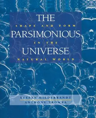 Das parsimonische Universum: Form und Gestalt in der natürlichen Welt - The Parsimonious Universe: Shape and Form in the Natural World