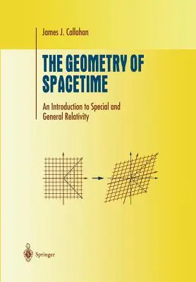 Die Geometrie der Raumzeit: Eine Einführung in die Spezielle und Allgemeine Relativitätstheorie - The Geometry of Spacetime: An Introduction to Special and General Relativity