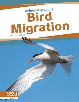 Vogelzug - Bird Migration