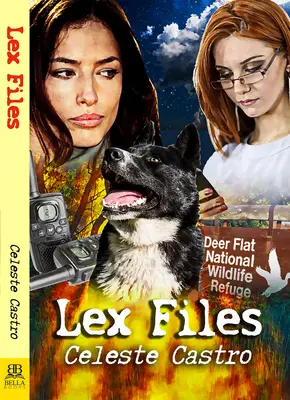 Lex-Dateien - Lex Files