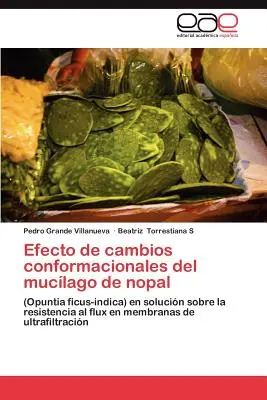 Auswirkung von Anpassungen des Mucilago de Nopal - Efecto de Cambios Conformacionales del Mucilago de Nopal