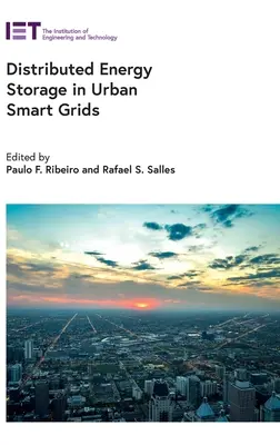 Dezentrale Energiespeicherung in städtischen intelligenten Netzen - Distributed Energy Storage in Urban Smart Grids