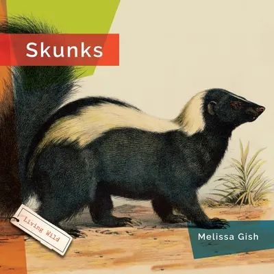 Stinktiere - Skunks