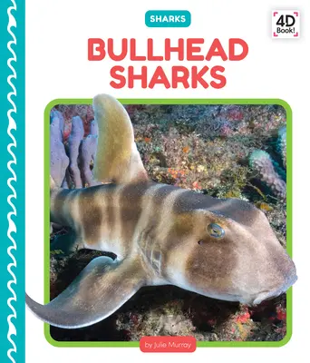 Stierkopfhaie - Bullhead Sharks