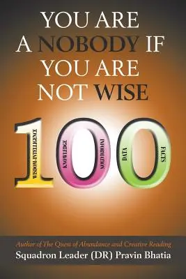 Du bist ein Niemand, wenn du nicht weise bist (Geschwaderführer (Dr) Pravin Bhatia) - You are a Nobody if You are Not Wise (Squadron Leader (Dr) Pravin Bhatia)