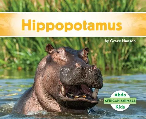 Nilpferd - Hippopotamus
