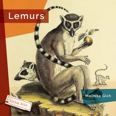 Lemuren - Lemurs