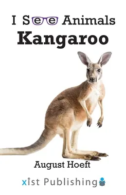 Känguru - Kangaroo