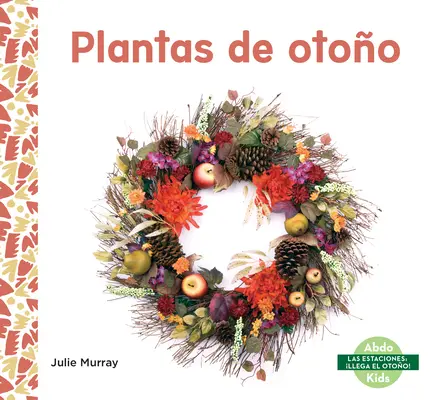 Plantagen von Otoo - Plantas de Otoo