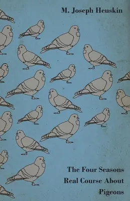 Die vier Jahreszeiten Realkurs über Tauben - The Four Seasons Real Course About Pigeons