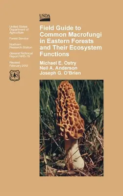 Feldführer zu häufigen Makropilzen in östlichen Wäldern und ihrer Funktion für das Ökosystem - Field Guide to Common Macrofungi in Eastern Forests and Their Ecosystem Function