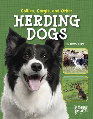 Collies, Corgies und andere Hütehunde - Collies, Corgies, and Other Herding Dogs