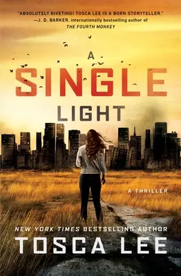 Ein einziges Licht: Ein Thriller - A Single Light: A Thriller