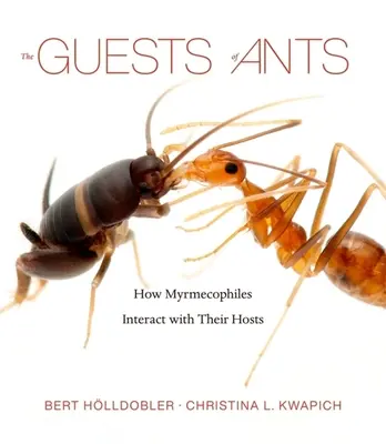 Die Gäste der Ameisen: Wie Myrmecophile mit ihren Wirten interagieren - The Guests of Ants: How Myrmecophiles Interact with Their Hosts