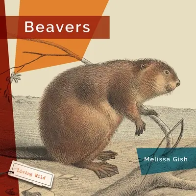 Biber - Beavers