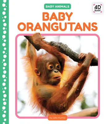 Baby-Orang-Utans - Baby Orangutans
