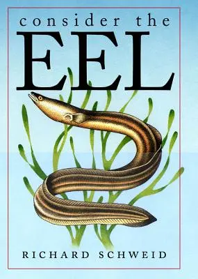 Betrachten Sie den Aal - Consider the Eel