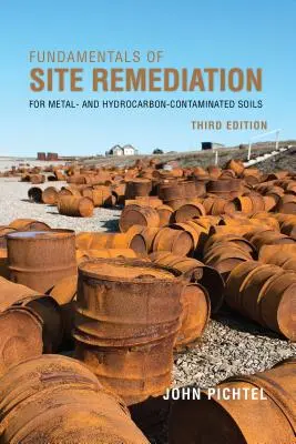 Grundlagen der Altlastensanierung - Fundamentals of Site Remediation