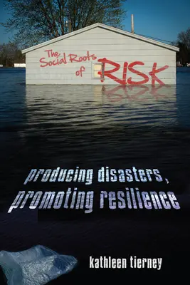 Die sozialen Wurzeln des Risikos: Katastrophen produzieren, Widerstandsfähigkeit fördern - The Social Roots of Risk: Producing Disasters, Promoting Resilience