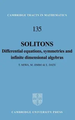 Solitonen: Differentialgleichungen, Symmetrien und unendlichdimensionale Algebren - Solitons: Differential Equations, Symmetries and Infinite Dimensional Algebras