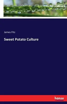 Süßkartoffel-Kultur - Sweet Potato Culture