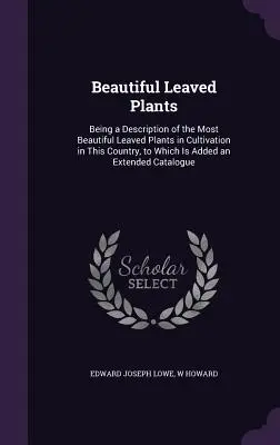 Beautiful Leaved Plants: Eine Beschreibung der schönsten Blattpflanzen, die in diesem Lande kultiviert werden, mit einer ausführlichen - Beautiful Leaved Plants: Being a Description of the Most Beautiful Leaved Plants in Cultivation in This Country, to Which Is Added an Extended