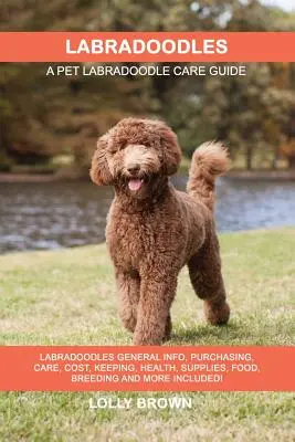 Labradoodles: Labradoodles Allgemeine Infos, Anschaffung, Pflege, Kosten, Haltung, Gesundheit, Zubehör, Futter, Zucht und mehr enthalten! Ein Haustier - Labradoodles: Labradoodles General Info, Purchasing, Care, Cost, Keeping, Health, Supplies, Food, Breeding and More Included! A Pet