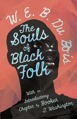 Die Seelen der schwarzen Bevölkerung: Mit einem einleitenden Kapitel von Booker T. Washington - The Souls of Black Folk: With an Introductory Chapter by Booker T. Washington