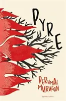 Pyre