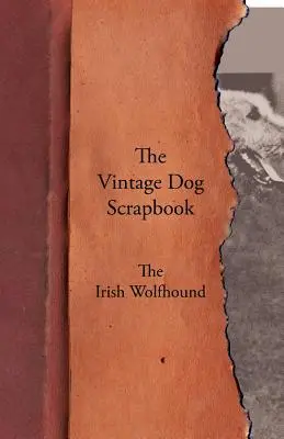 The Vintage Dog Scrapbook - Der Irische Wolfshund - The Vintage Dog Scrapbook - The Irish Wolfhound