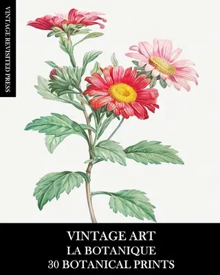 Kunst im Vintage-Stil: La Botanique: 30 botanische Drucke zum Einrahmen, für Collagen, Decoupage und Junk Journals - Vintage Art: La Botanique: 30 Botanical Prints for Framing, Collage, Decoupage and Junk Journals