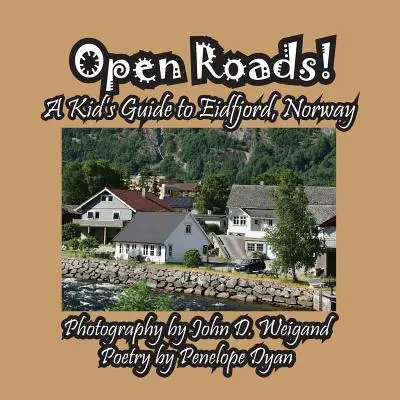 Offene Straßen! Ein Kinderreiseführer für Eidfjord, Norwegen - Open Roads! A Kid's Guide To Eidfjord, Norway