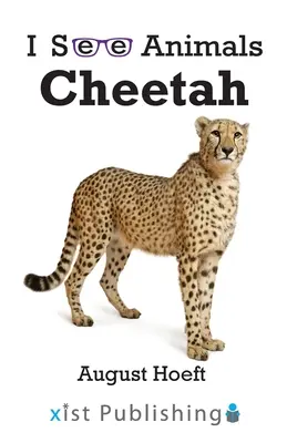 Gepard - Cheetah