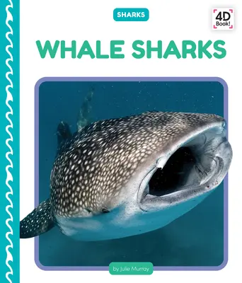Walhaie - Whale Sharks
