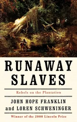 Entlaufene Sklaven: Rebellen auf der Plantage - Runaway Slaves: Rebels on the Plantation