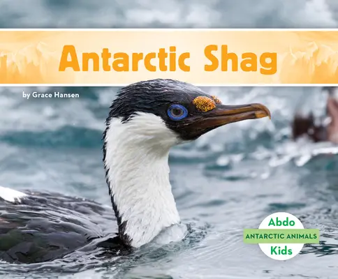 Antarktische Scharbe - Antarctic Shag