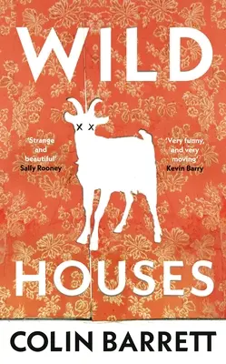 Wild Houses - Einer der Debütromane des Beobachters aus dem Jahr 2024 - Wild Houses - One of the Observer's Debut Novels of 2024